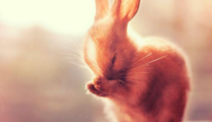 冠军之路，亚洲俱乐部赛事全面启动