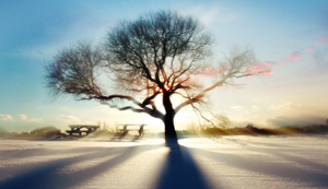 土耳其运动员稳扎稳打获得佳绩