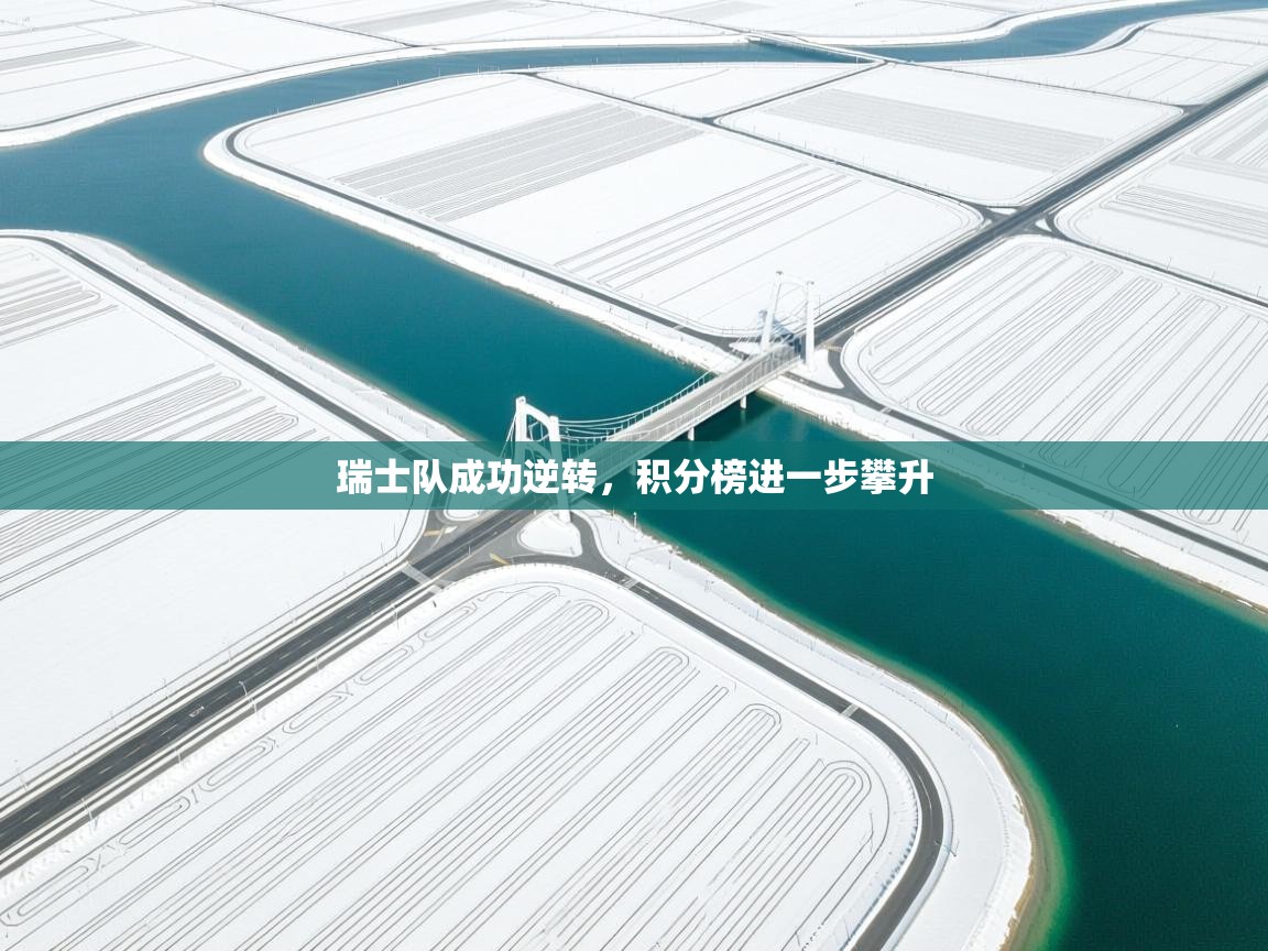 瑞士队成功逆转，积分榜进一步攀升